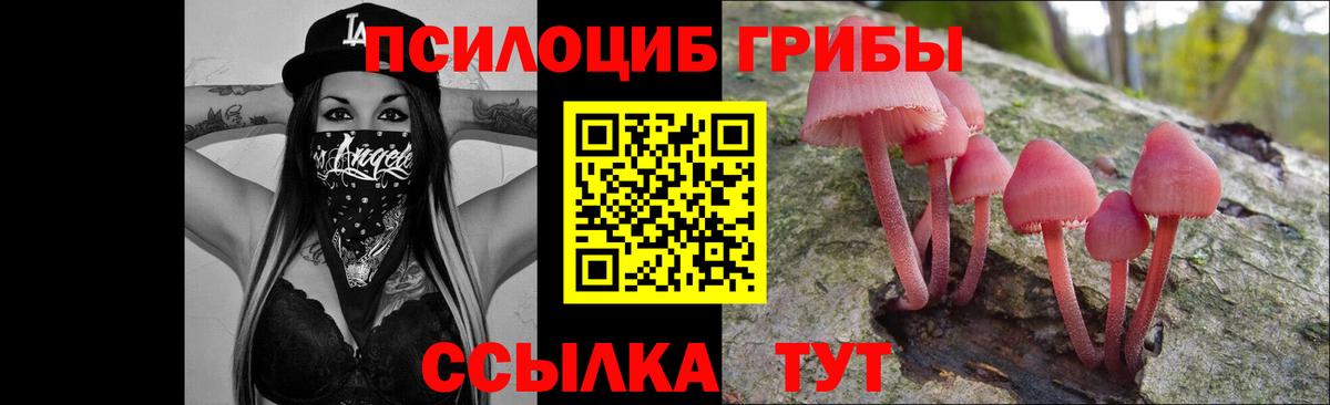 Бахчисарай  Галлюциногенные грибы мухоморы  Вход с VPN 